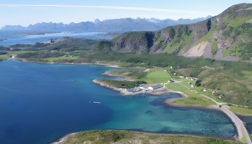 Lødingen Fisk holder til i Vestbygda i Lødingen kommune i Nordland.